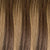 Mocha Blend Butterfly Weft Extensions